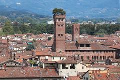 Torre Guinigi from Campanile in Lucca, Toscana