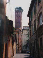 Panorama of Lucca, Italy