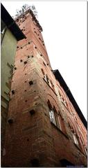 Torre Guinigi in Lucca, Italy