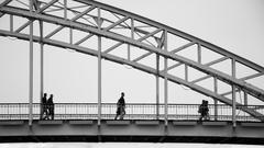 La Passerelle Debilly bridge in Paris