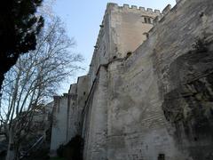 Avignon panoramic view