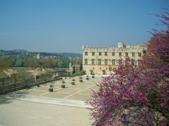 Petit Palais D'Avignon