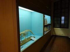 interior view of a museum display case