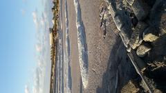 Sea salt fields in Trapani