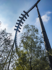 Roller coaster The Swarm with riders descending the first drop