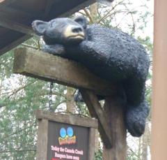 Fibre-glass bear above the Canada Creek Railway at Thorpe Park