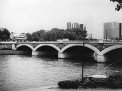 Pont d'Austerlitz in Paris, 1981