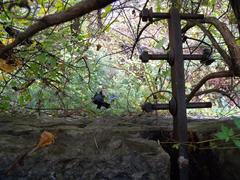 close up view of a bridge abutment from 1823 in Nashville, Tennessee