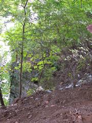 view through a wooded area of a bridge abutment from 1823 in Nashville, Tennessee