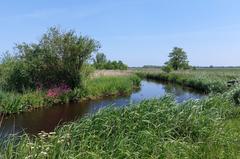 Waterway in De Tike towards De Leijen