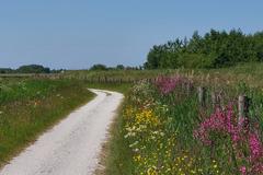 Scenic bike path in De Tike along De Leien lake