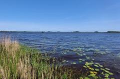 Scenic view of De Tike over De Leien