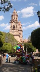 Catedral de Guadalajara viewed from the garden