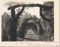 Arcade in the rose garden of Holland House in 1907