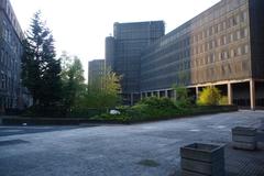 panoramic view of tall buildings and highways in an urban cityscape