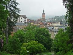 view of Baden-Baden with the Collegiate Church