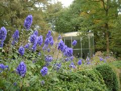 Graubner-Pavillon in autumn with blue monkshood flowers