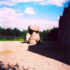 scenic view of lush greenery and pathways in Insel Hombroich art museum garden