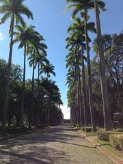 Praça Da Liberdade