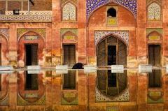 man praying at Wazir Khan Mosque in Pakistan