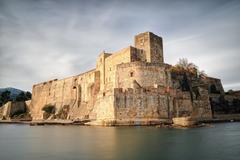 Chateau Royal de Collioure with surrounding waters and greenery