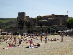 Castell Reial de Cotlliure from Voramar beach