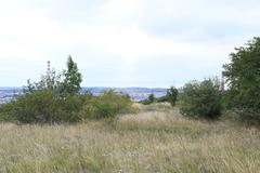 a landscape view of Stránská skála in Brno