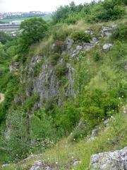 Stránská skála rock formation