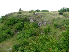 Stránská skála limestone formation