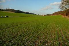 Bradenham valley landscape