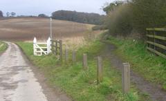 Bridleway towards Downley