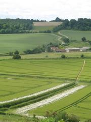 Chorley Farm and Chawley Wood landscape