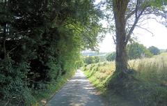 Church Lane west of Flint Hall Farm