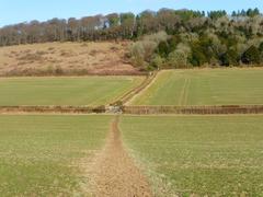 Farmland in West Wycombe