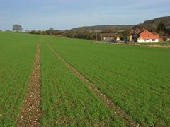 Farmland and houses in West Wycombe