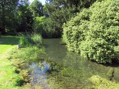 A drain in West Wycombe Park