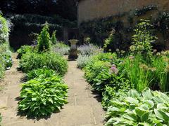 A garden in West Wycombe Park