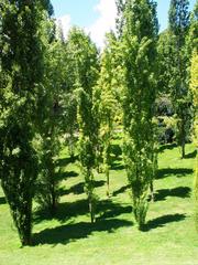 Parque del Oeste in Madrid