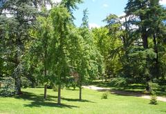 Parque del Oeste in Madrid