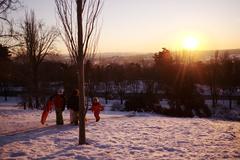 Parque del Oeste in Madrid covered in snow, January 2021