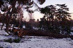 Parque del Oeste in Madrid covered in snow