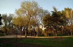 Parque del Oeste wooded area in Madrid