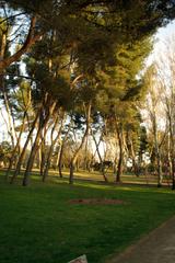 Parque del Oeste Arboreta in Madrid