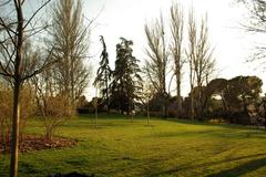 Parque del Oeste in Madrid with lush green trees