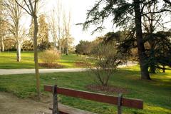 Madrid Parque del Oeste grove