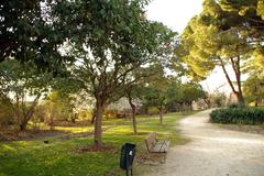 Madrid Parque del Oeste tree grove at sunset