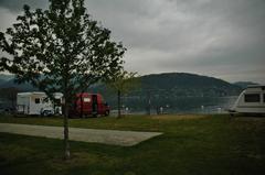 Camping Village Parisi with tents under pine trees