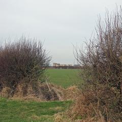 A gap in the hedge and the new southern edge of Cambridge