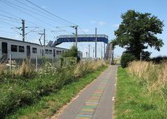 A Cambridge train and The Genome Path