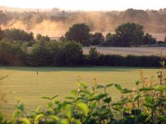 July evening on the western slopes of The Gogs